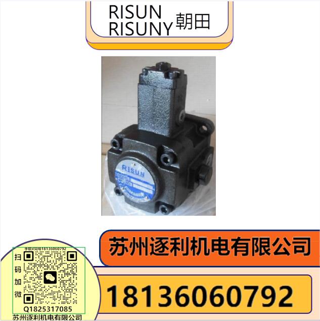 臺灣RISUNY電機油泵VD1-30F-A3 液壓泵臺灣朝田VD1-40F-A3油壓泵